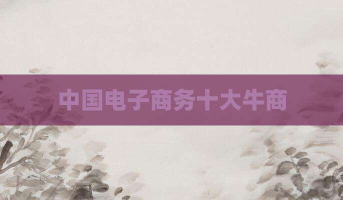 中国电子商务十大牛商
