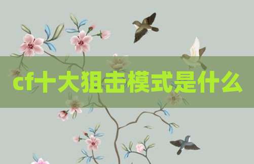 cf十大狙击模式是什么