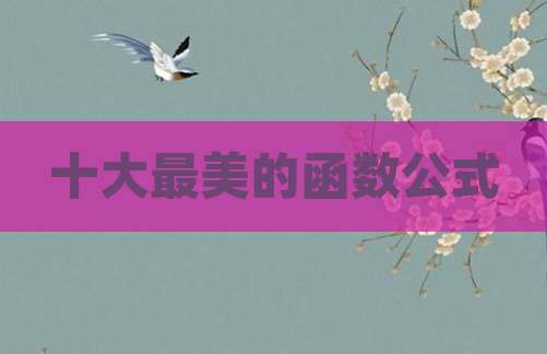 十大最美的函数公式