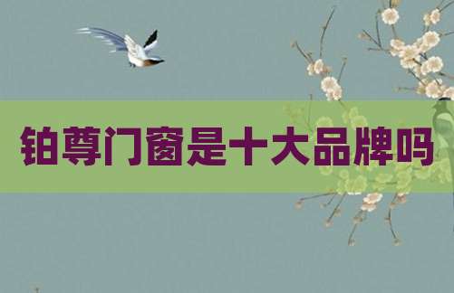 铂尊门窗是十大品牌吗