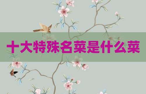 十大特殊名菜是什么菜
