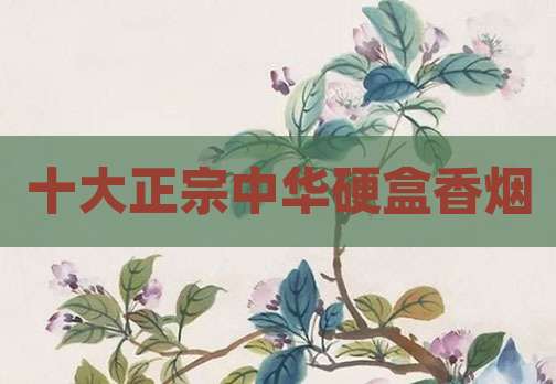 十大正宗中华硬盒香烟