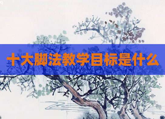 十大脚法教学目标是什么