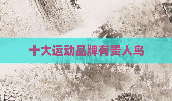 十大运动品牌有贵人鸟