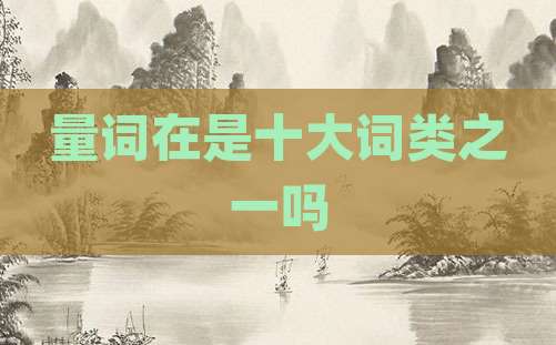 量词在是十大词类之一吗