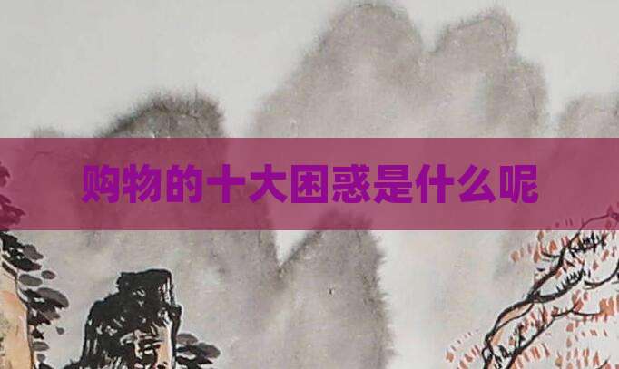 购物的十大困惑是什么呢