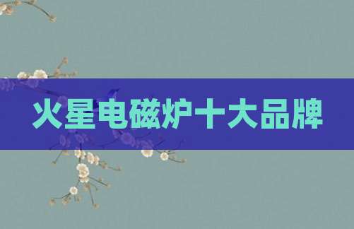 火星电磁炉十大品牌
