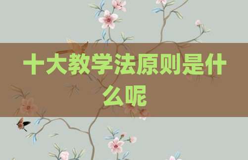 十大教学法原则是什么呢