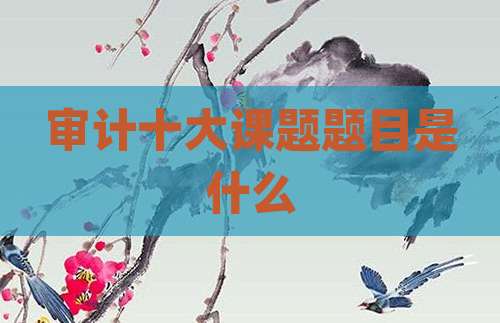 审计十大课题题目是什么