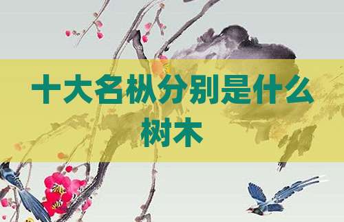 十大名枞分别是什么树木