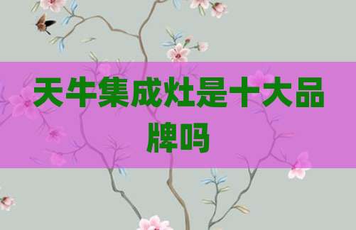 天牛集成灶是十大品牌吗