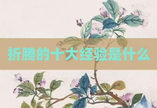 折腾的十大经验是什么