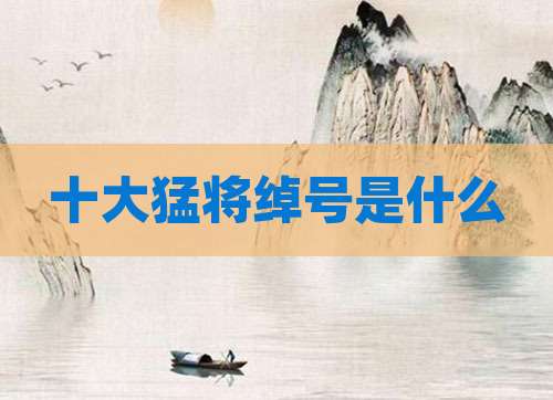 十大猛将绰号是什么