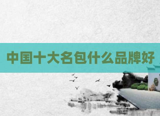 中国十大名包什么品牌好