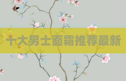 十大男士面霜推荐最新