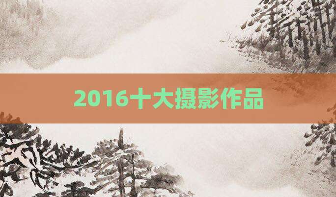 2016十大摄影作品