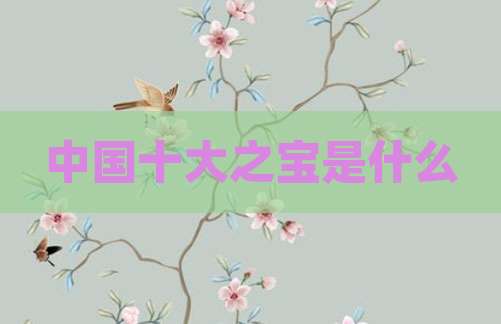 中国十大之宝是什么