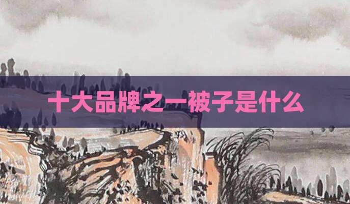 十大品牌之一被子是什么