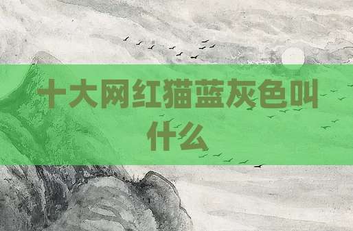 十大网红猫蓝灰色叫什么