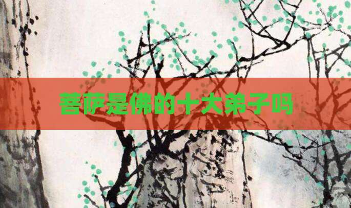 菩萨是佛的十大弟子吗