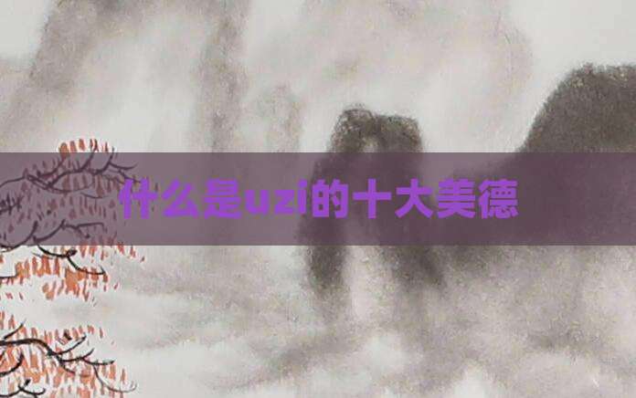 什么是uzi的十大美德