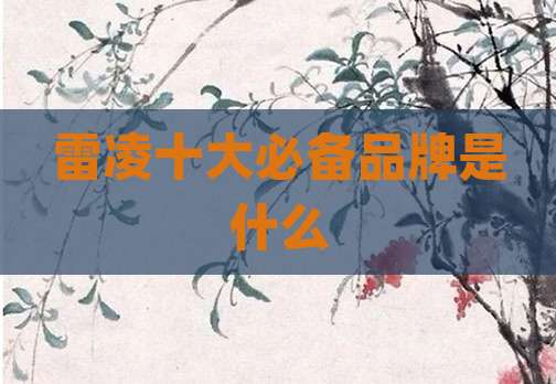 雷凌十大必备品牌是什么