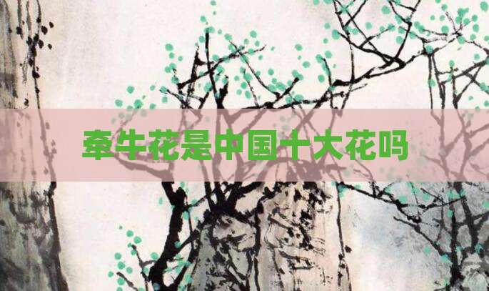 牵牛花是中国十大花吗