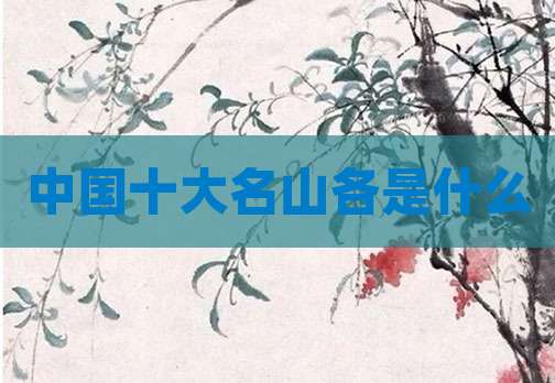 中国十大名山各是什么
