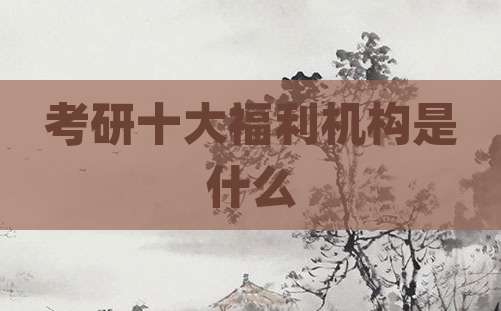 考研十大福利机构是什么