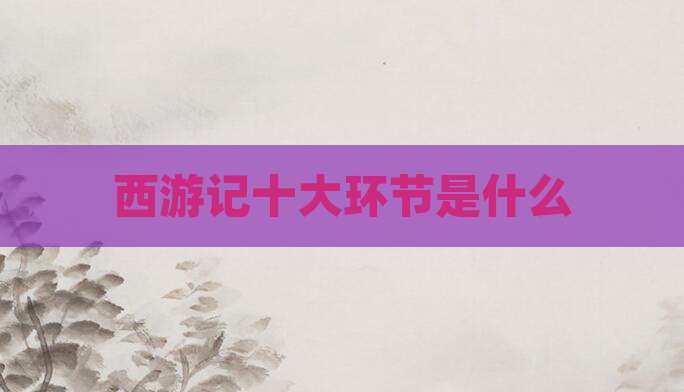 西游记十大环节是什么