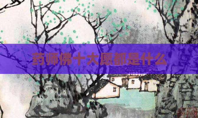 药师佛十大愿都是什么