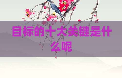 目标的十大关键是什么呢