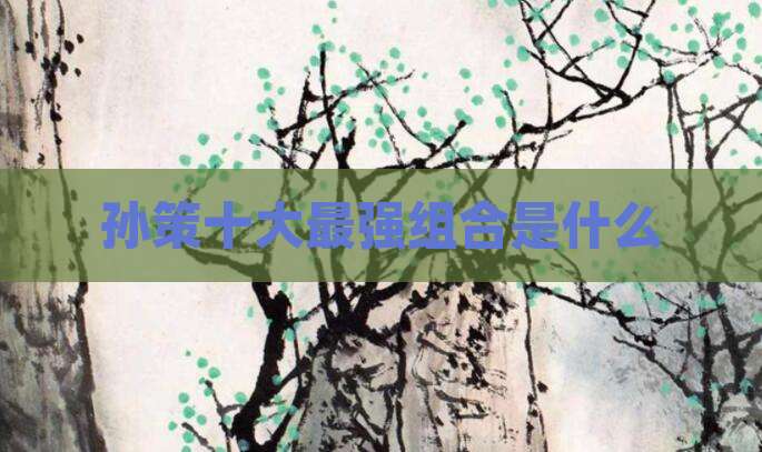 孙策十大最强组合是什么