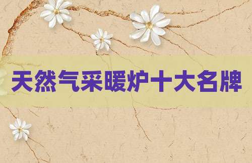 天然气采暖炉十大名牌