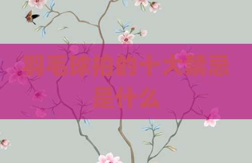 羽毛球拍的十大禁忌是什么