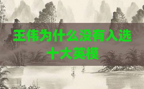王伟为什么没有入选十大英模
