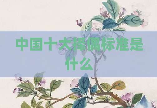 中国十大择偶标准是什么
