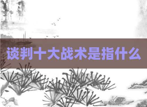 谈判十大战术是指什么
