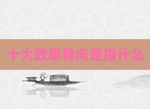 十大政策导向是指什么