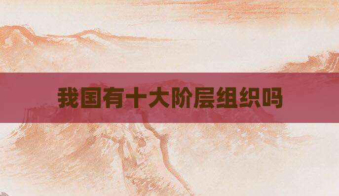 我国有十大阶层组织吗