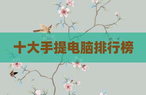 十大手提电脑排行榜