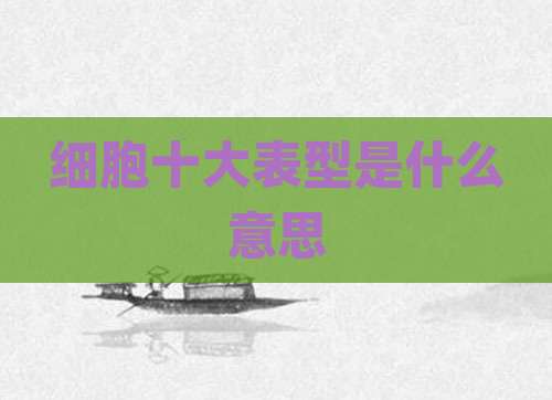 细胞十大表型是什么意思