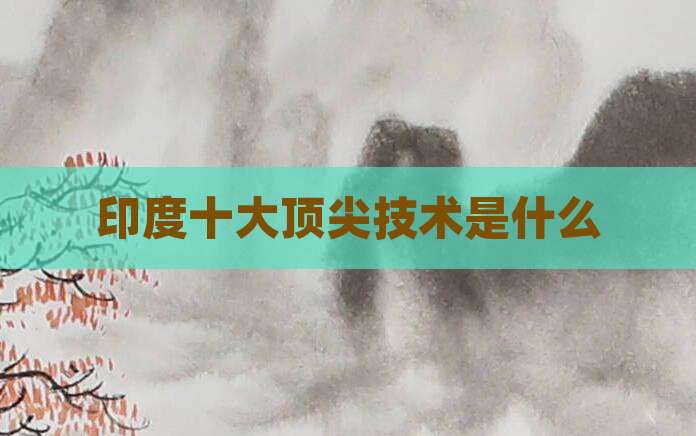 印度十大顶尖技术是什么