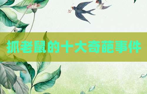 抓老鼠的十大奇葩事件