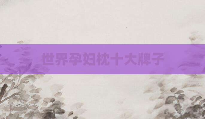 世界孕妇枕十大牌子