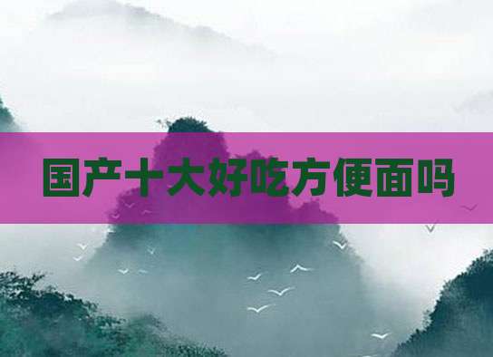 国产十大好吃方便面吗