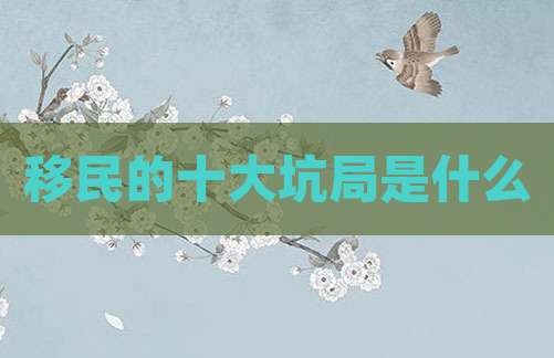 移民的十大坑局是什么