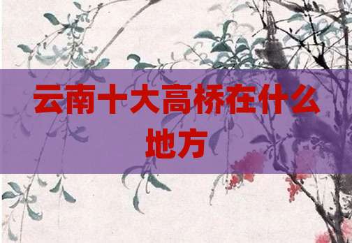 云南十大高桥在什么地方