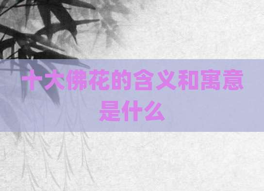 十大佛花的含义和寓意是什么