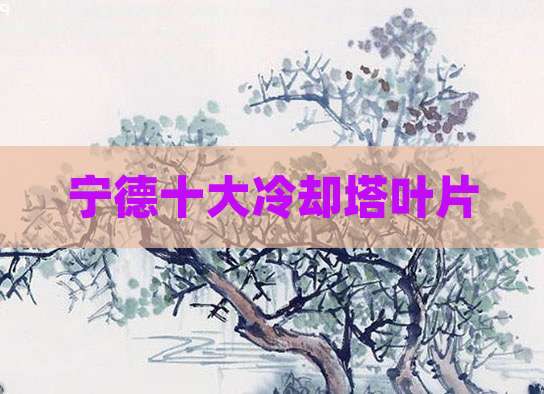 宁德十大冷却塔叶片